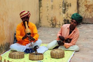 आपके लिए सर्वश्रेष्ठ बेटिंग ऐप in Jaipur: Complete 2026 Guide for Indian Players